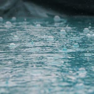 Soft Rain - Song