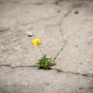 Breakthrough